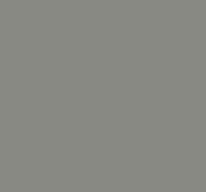 No 226 Grey Teal